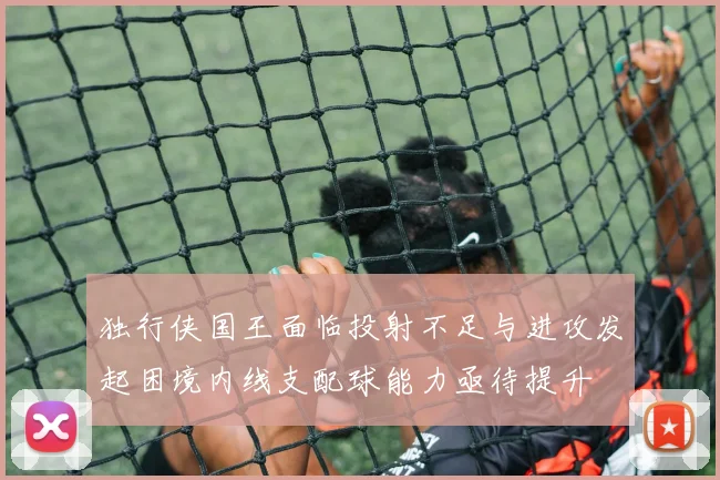 独行侠国王面临投射不足与进攻发起困境内线支配球能力亟待提升