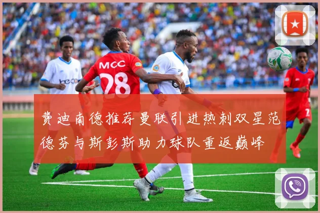 费迪南德推荐曼联引进热刺双星范德芬与斯彭斯助力球队重返巅峰
